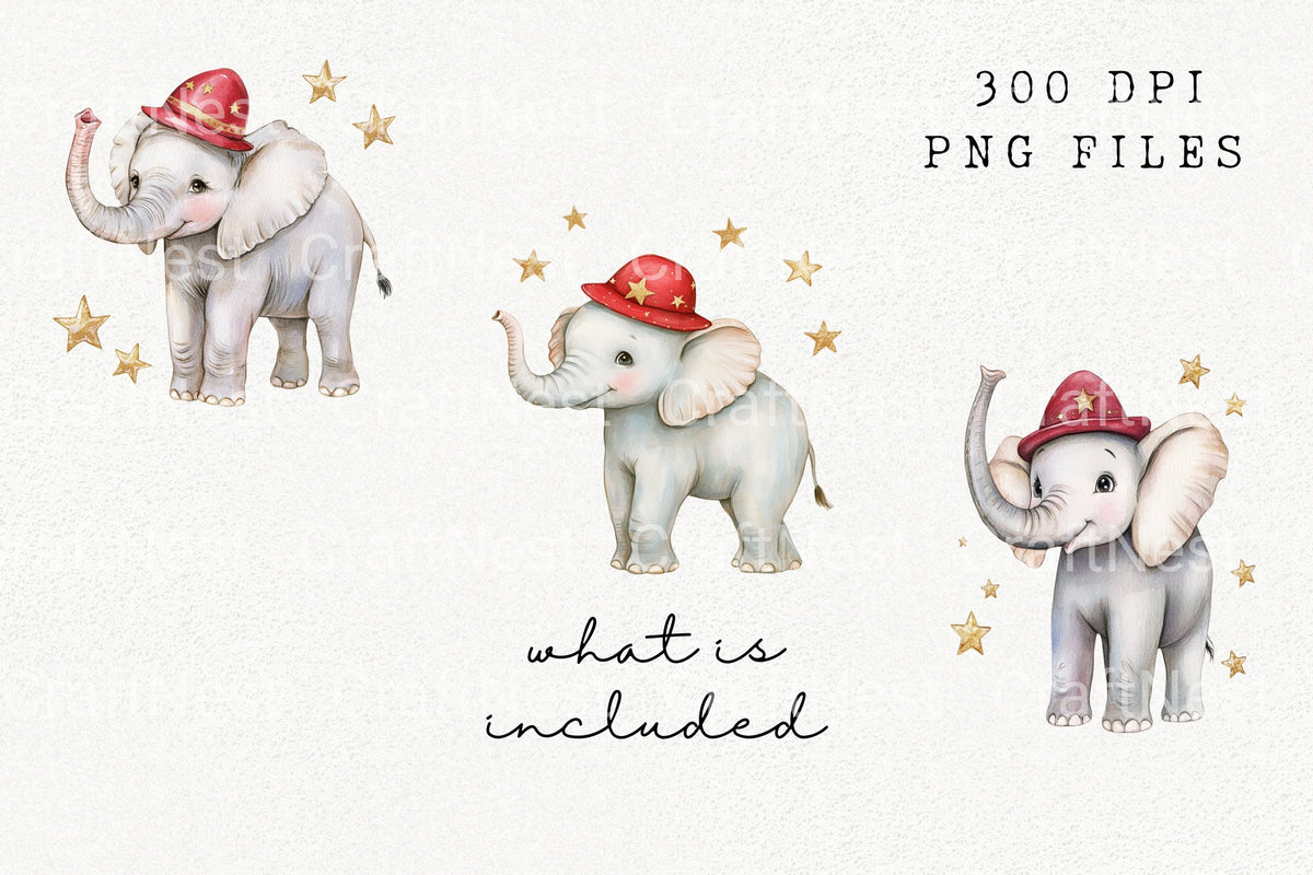 Cute Circus Baby Elephant Clipart Bundle