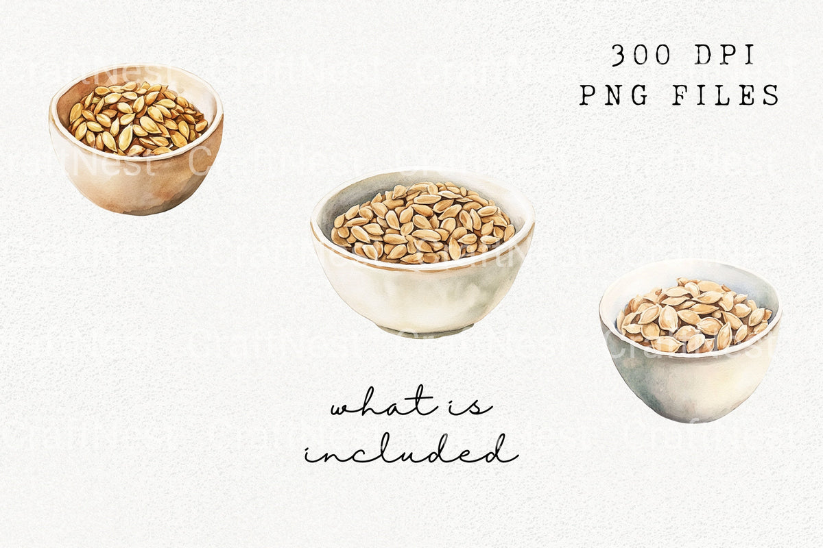 Pumpkin Seeds In Bowls Clipart Bundle