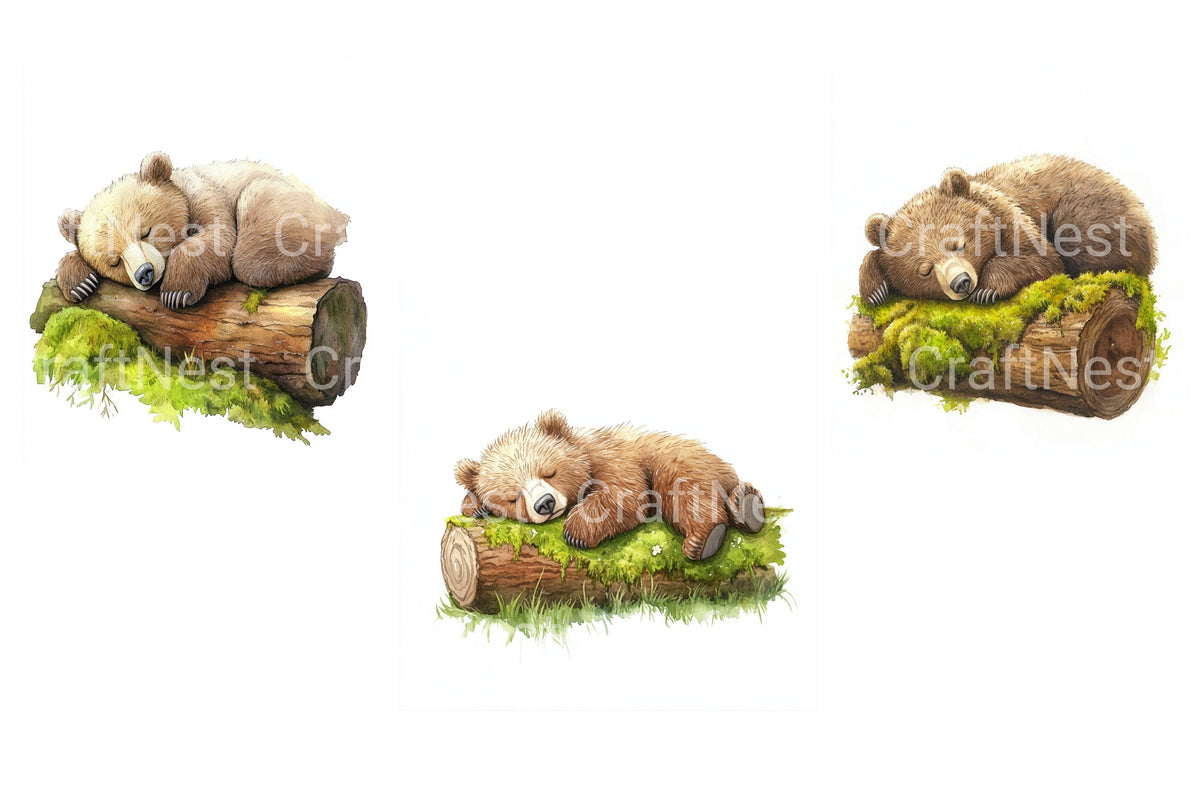 Sleeping Bear On Watercolor Clipart Log Book