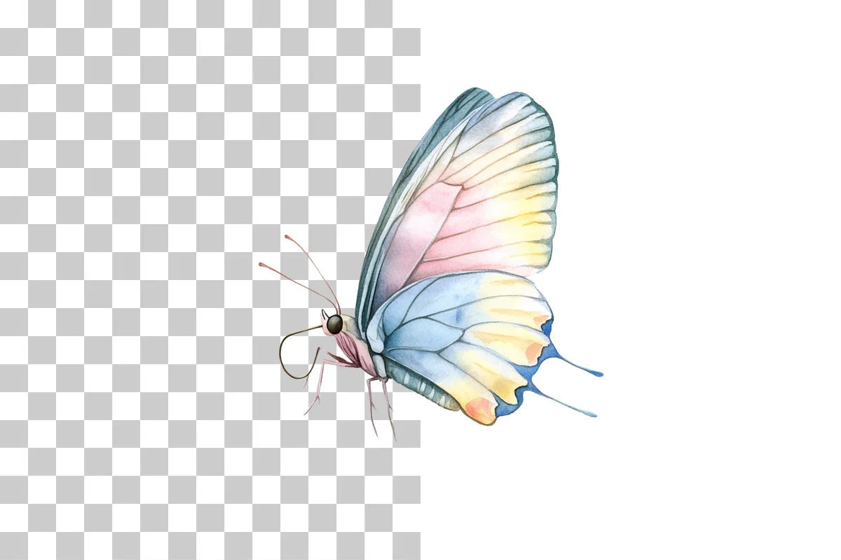 Colorful Butterfly Clipart Bundle - CraftNest - Digital Crafting and Art