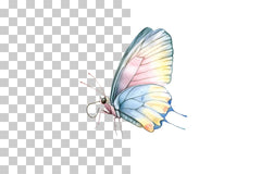 Colorful Butterfly Clipart Bundle - CraftNest - Digital Crafting and Art