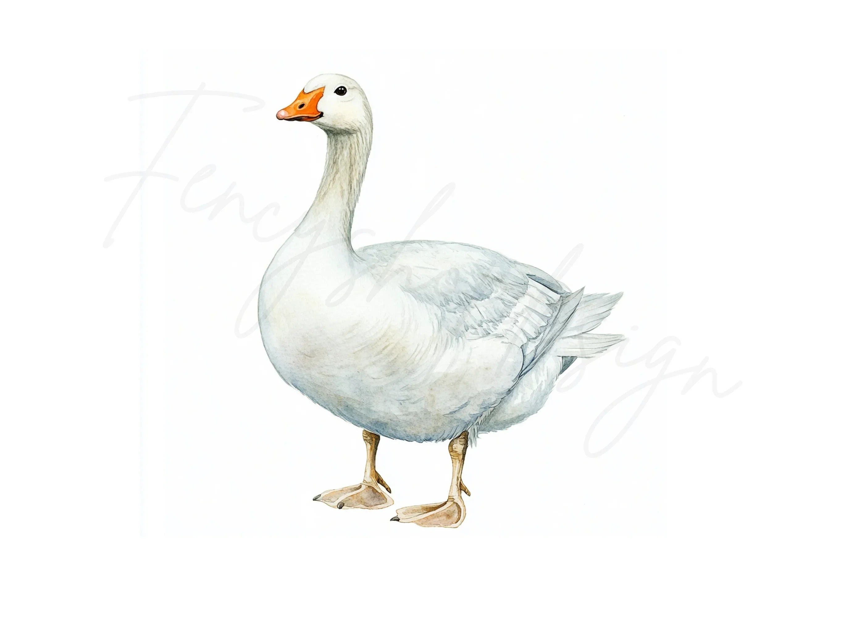 White Geese Clipart Bundle