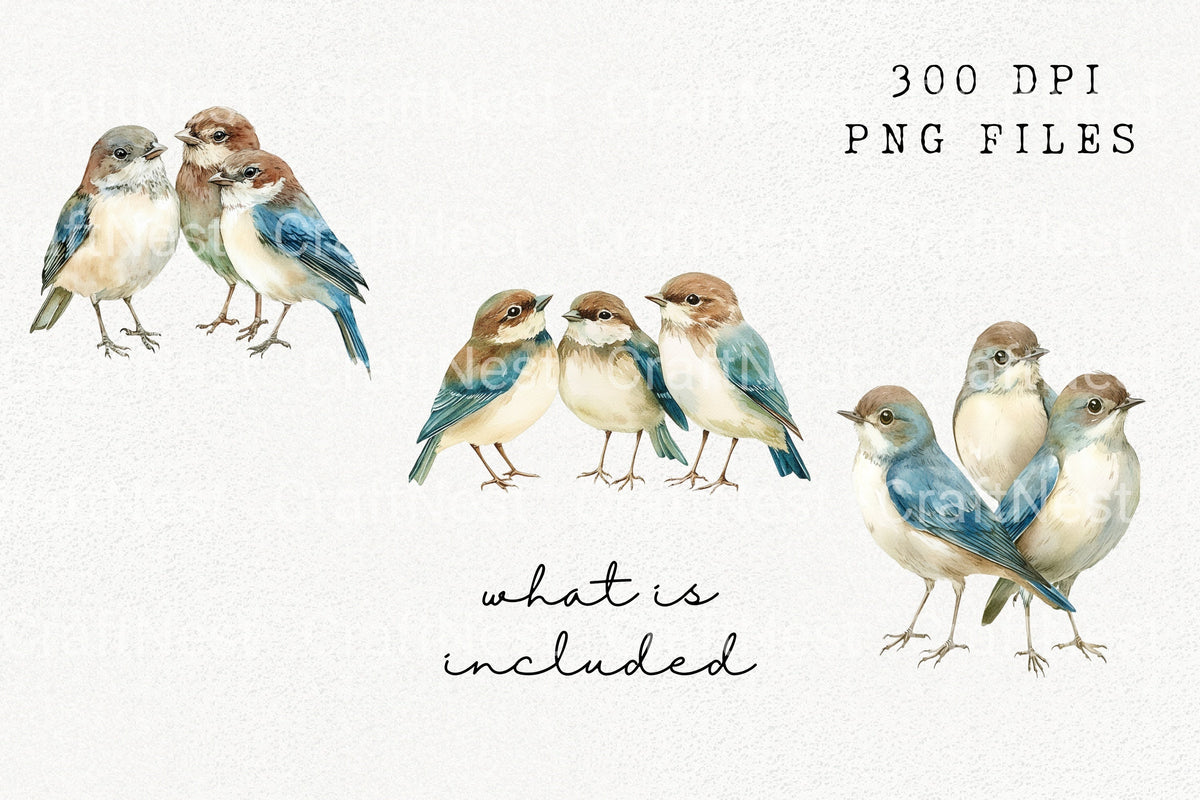 Sweet Blue Bird Pairs Clipart Bundle