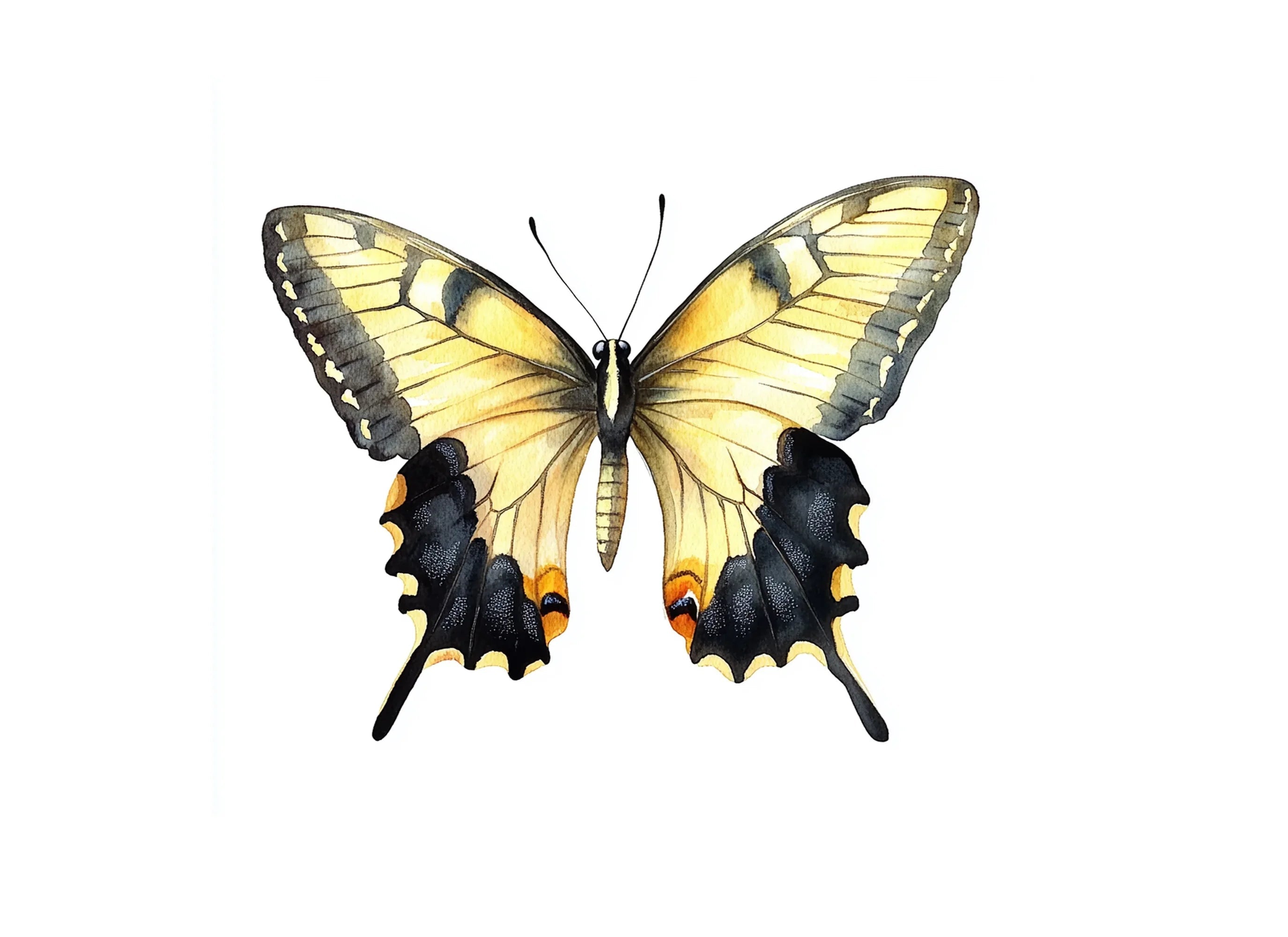 Yellow Swallowtail Butterflies Clipart Bundle