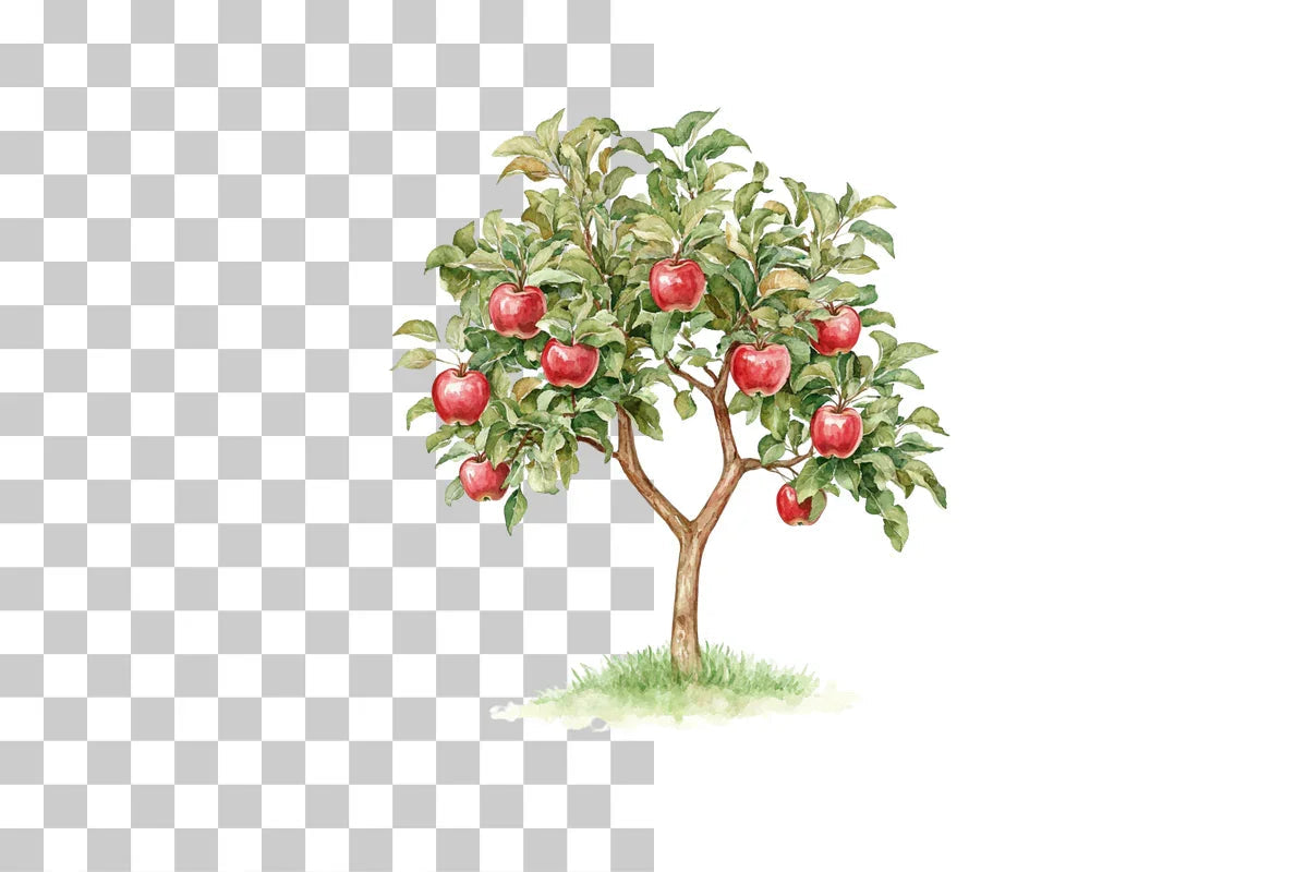 Apple Tree Harvest Scene Clipart Bundle - CraftNest - Digital Crafting and Art