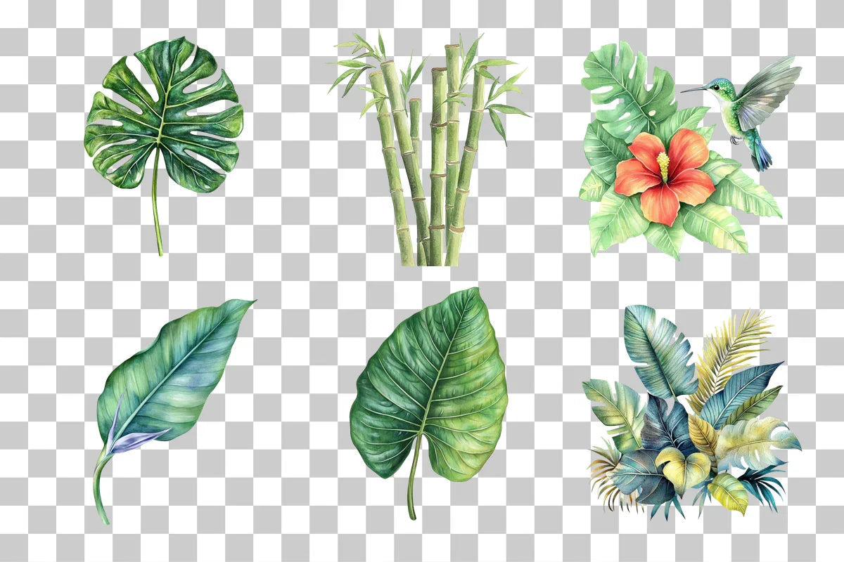 Tropical Leaves & Plants Clipart Bundle - CraftNest - Digital Crafting and Art