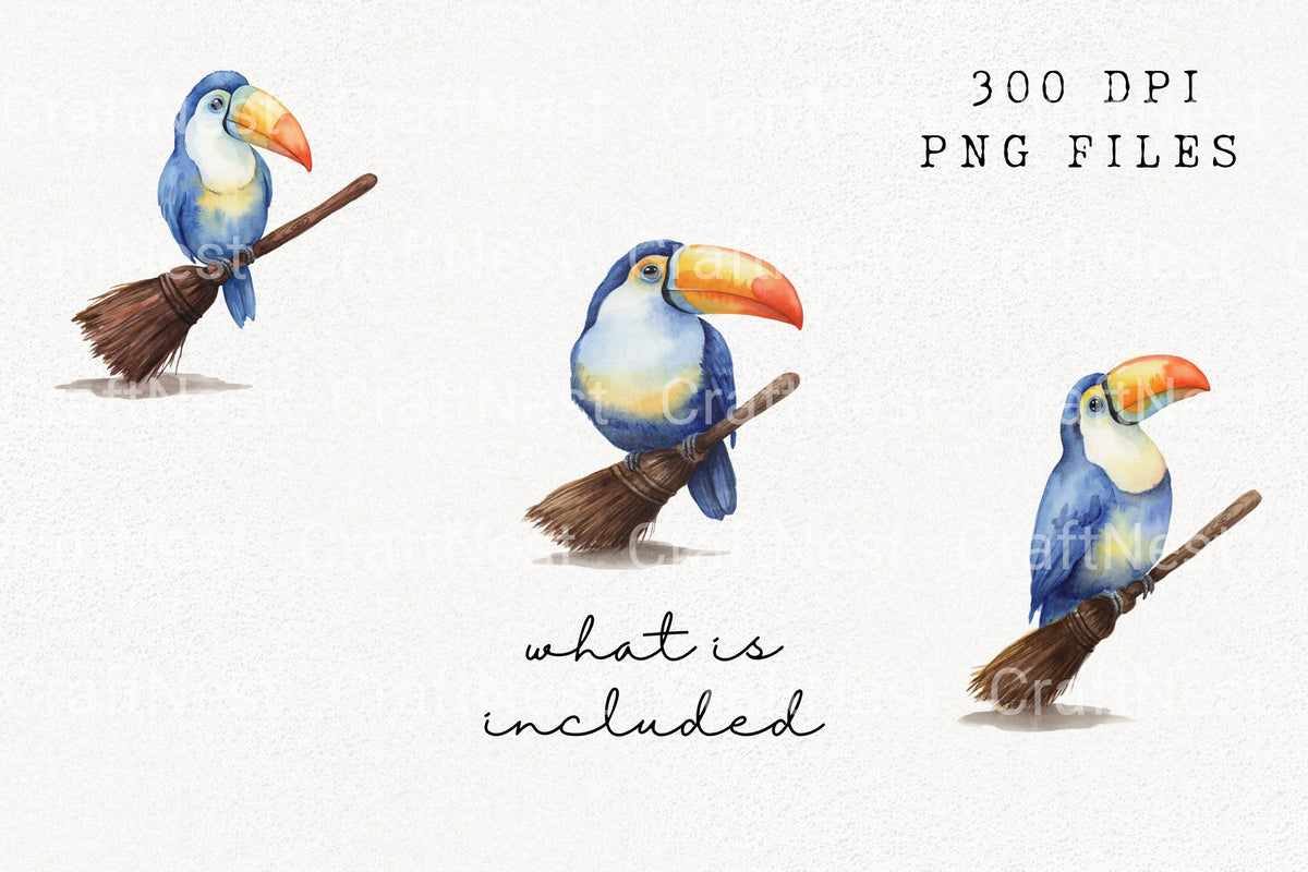 Toucan On Broom With Colorful Clipart Bundle