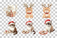 Angry Christmas Cat Clipart Bundle - CraftNest - Digital Crafting and Art