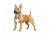 Cute Brown Pitbull Dog Clipart Bundle