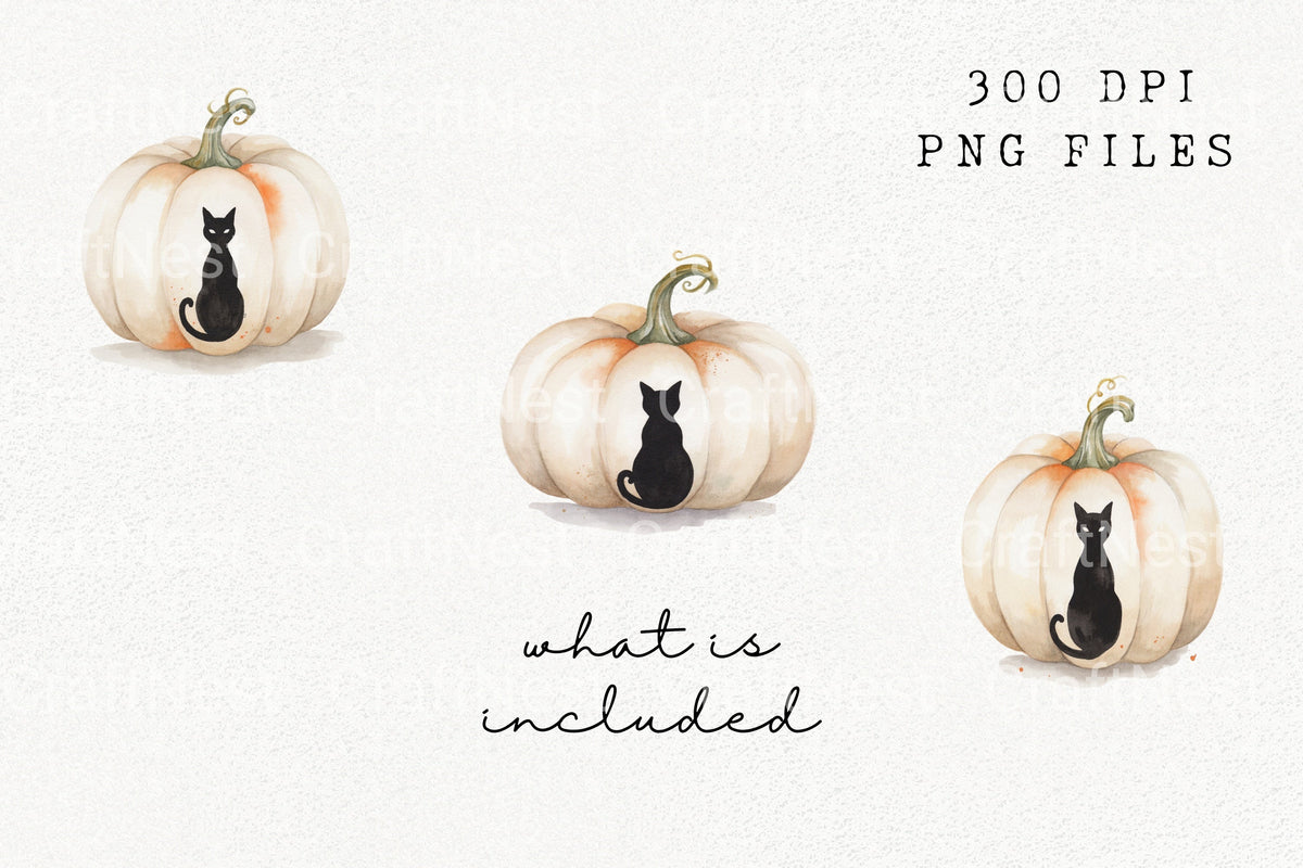 White Pumpkin With Black Cat Clipart Bundle