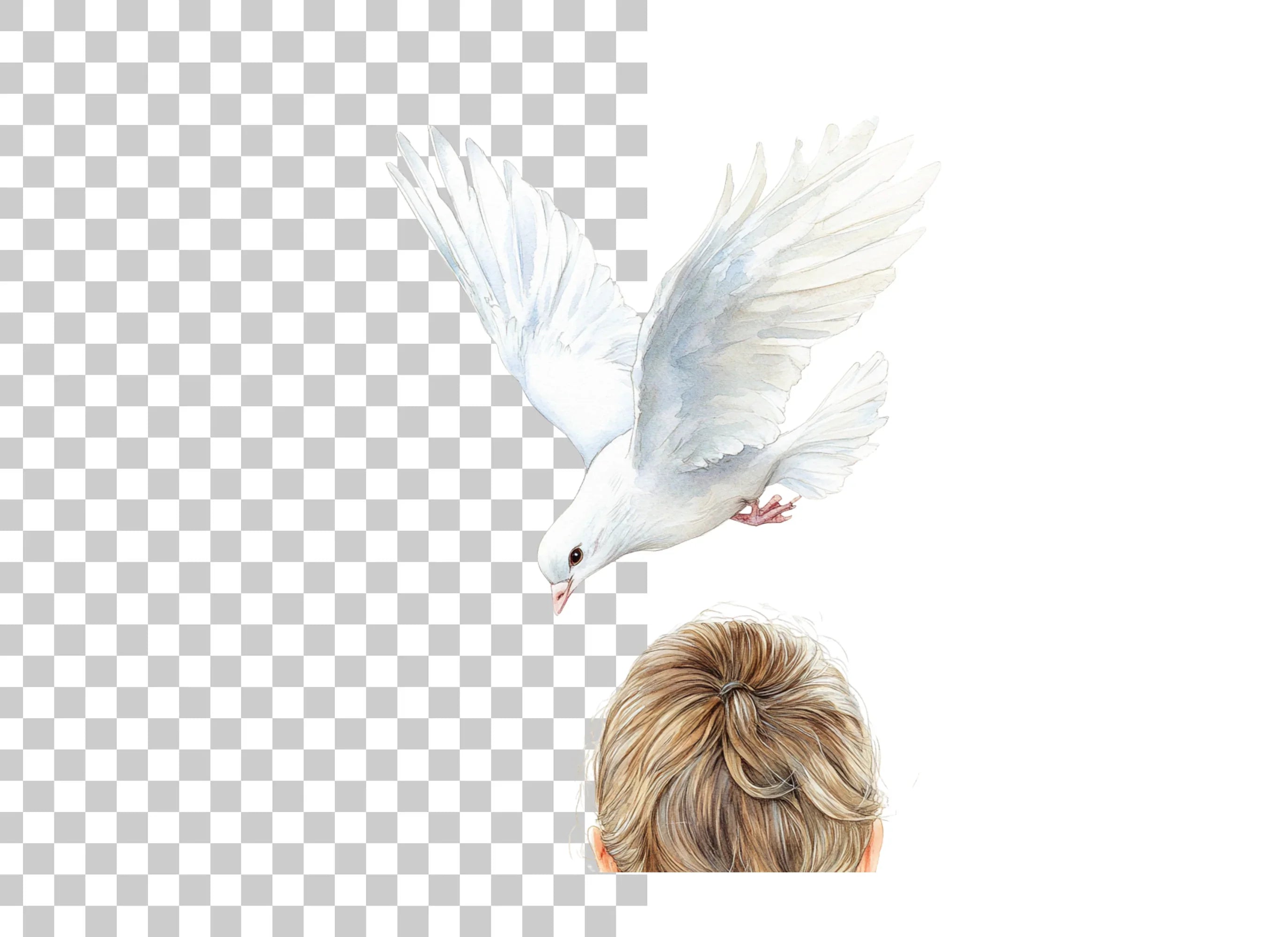 White Dove and Hair Clipart Bundle