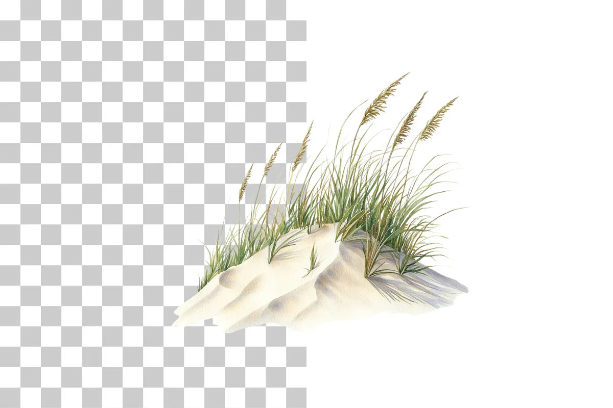 Coastal Sand Dunes with Grass Clipart Bundle - CraftNest - Digital Crafting and Art