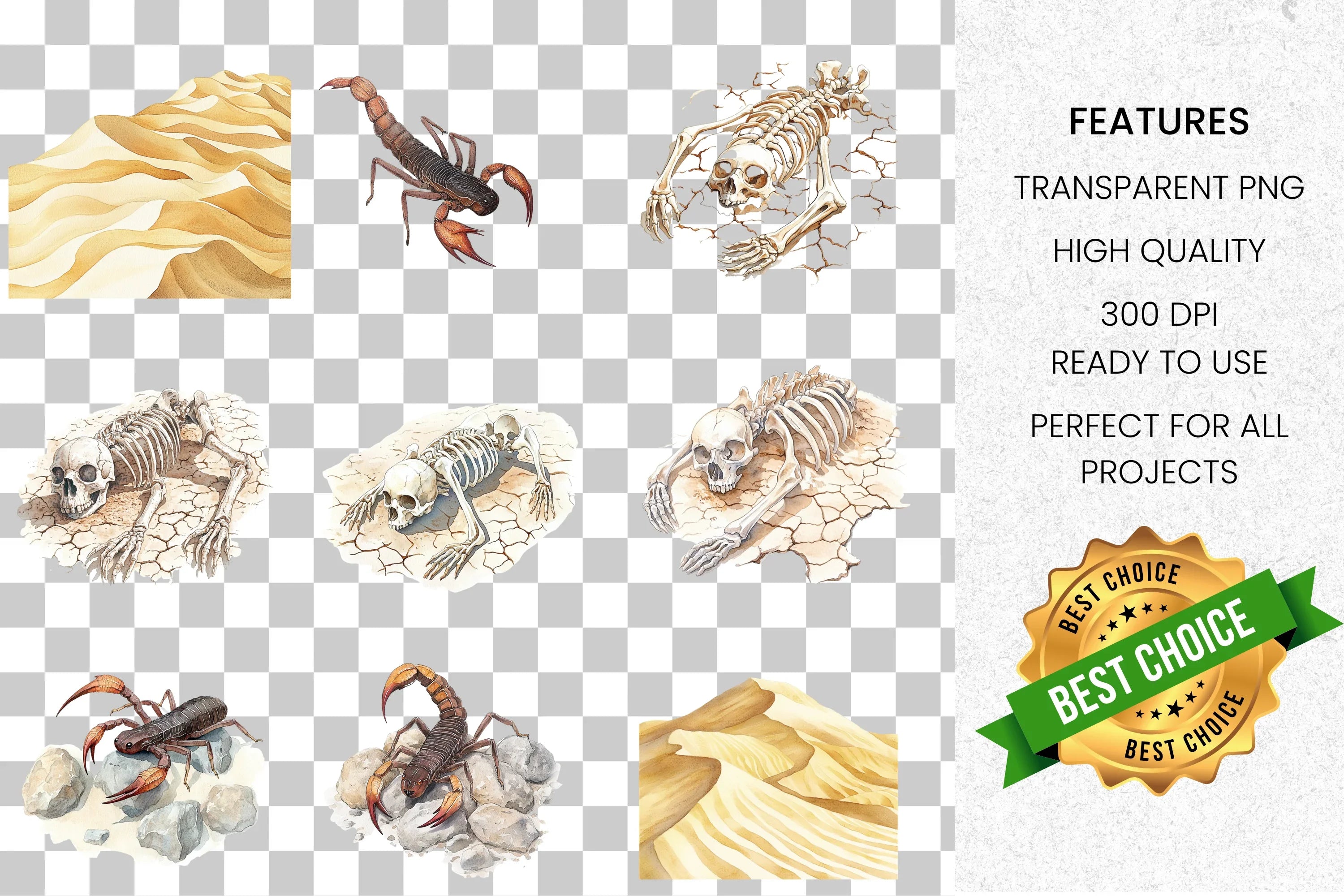 Arid Desert Wildlife Scenery Clipart Bundle