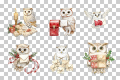 Festive Christmas Owl Mail Clipart Bundle - CraftNest - Digital Crafting and Art