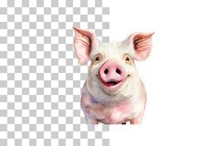 Funny Pig Face Clipart Bundle - CraftNest - Digital Crafting and Art