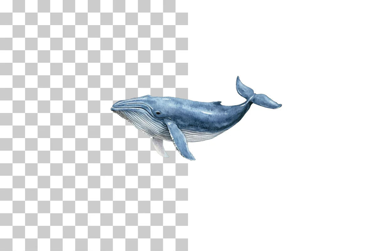 Whale Ocean Animal Clipart Bundle - CraftNest - Digital Crafting and Art
