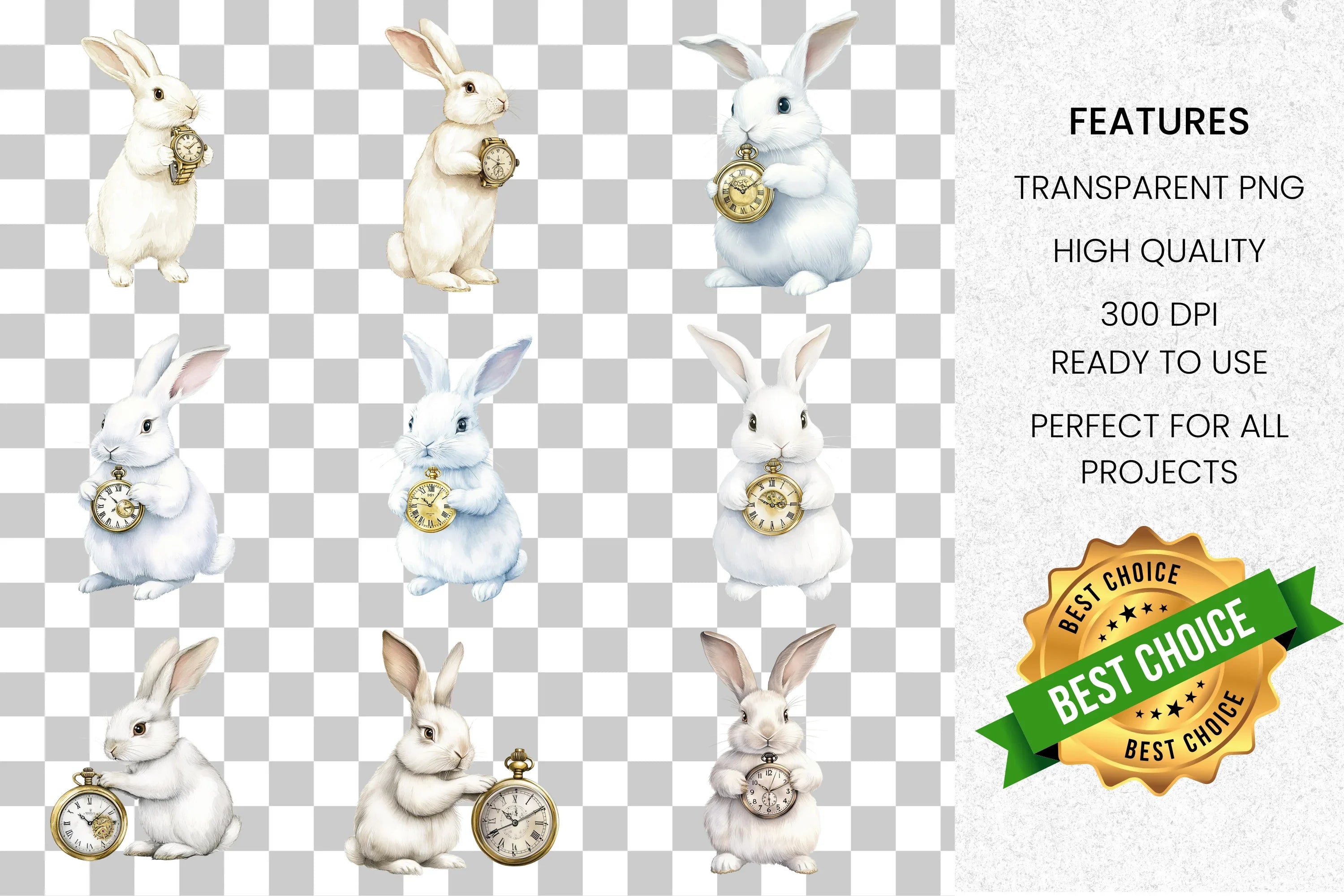 White Rabbit Pocket Watch Clipart Bundle