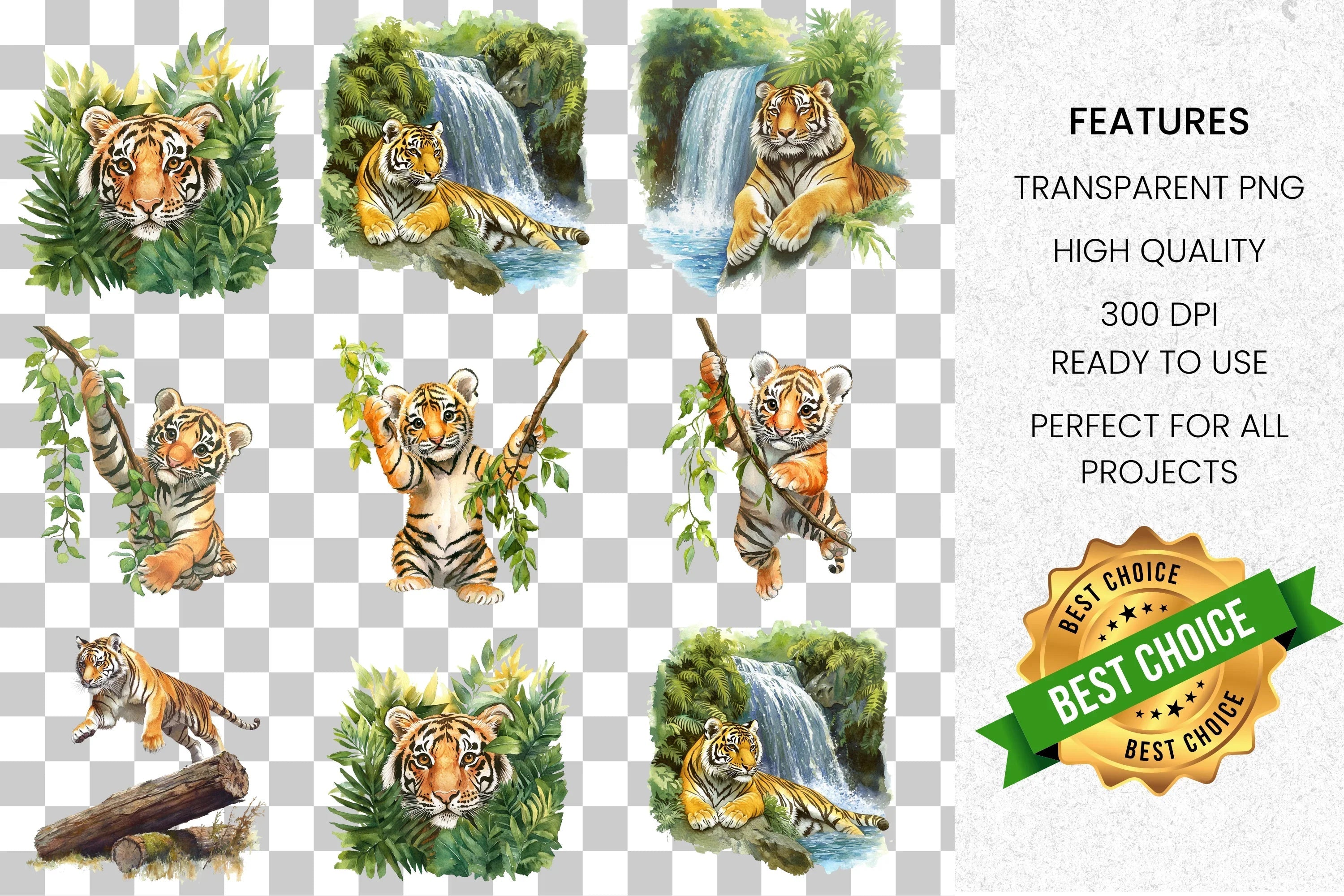 Wild Tiger Cub Jungle Animal Clipart Bundle