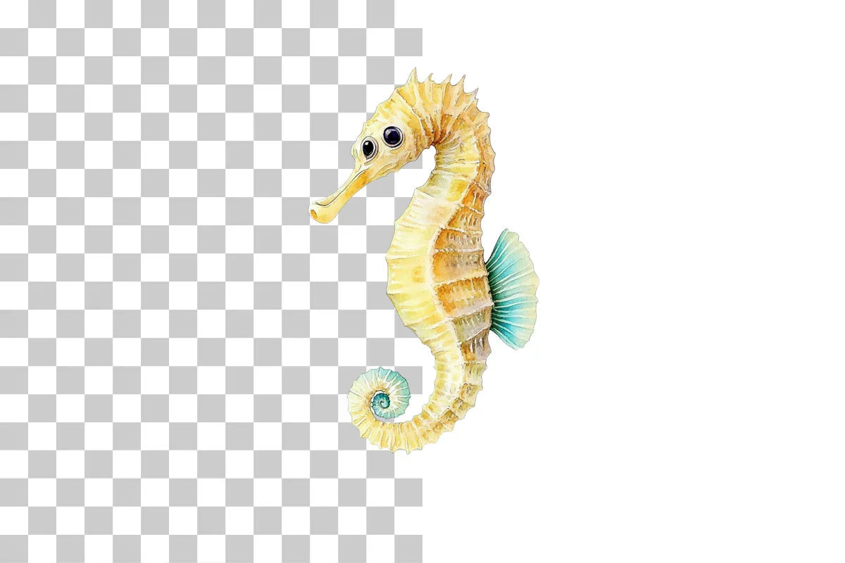 Colorful Seahorse Clipart Bundle - CraftNest - Digital Crafting and Art