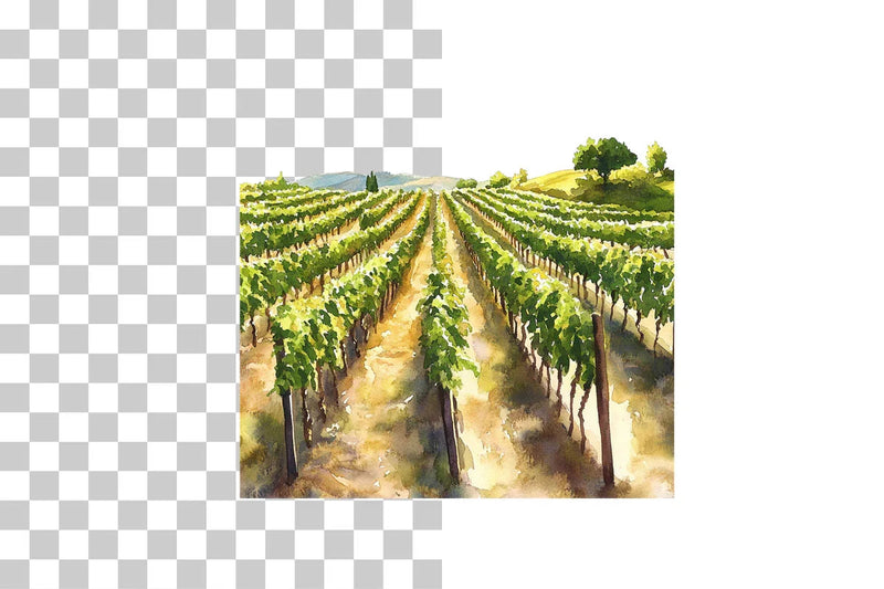 Tuscan Vineyard Landscape Clipart Bundle - CraftNest - Digital Crafting and Art