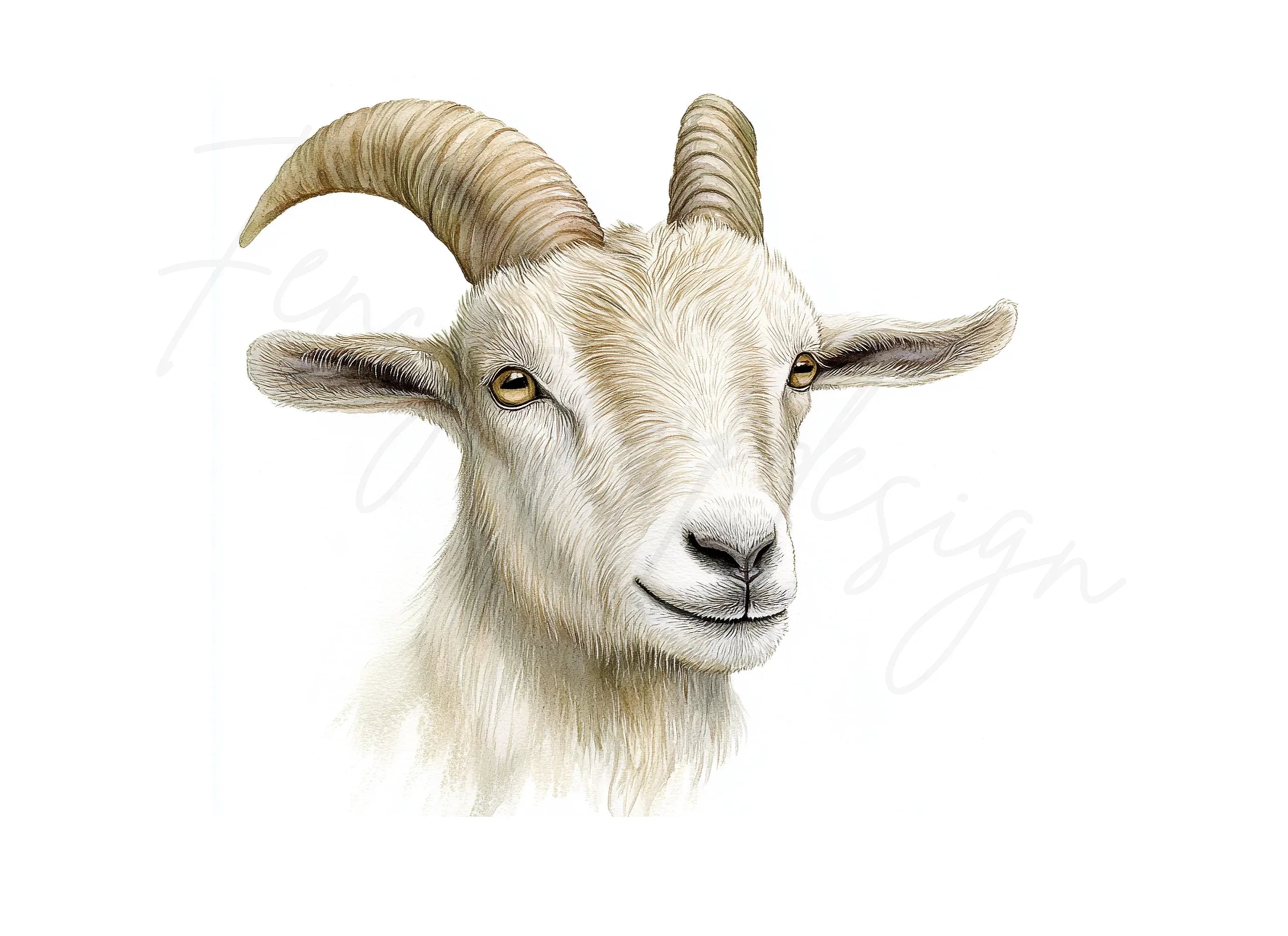 Smiling Goats Clipart Bundle