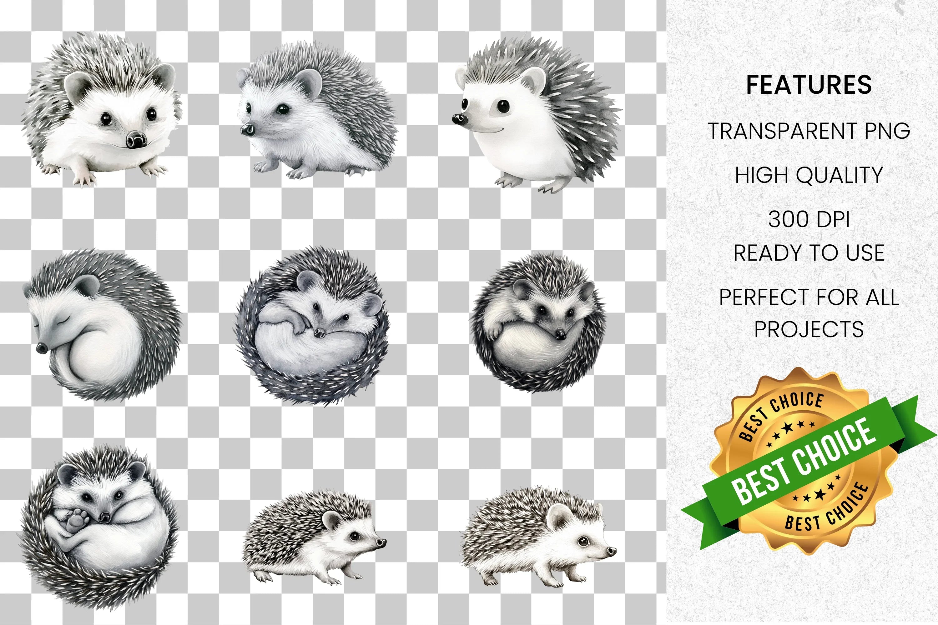 Adorable Hedgehog Clipart Bundle