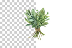 Tied Culinary Herb Clipart Bundle - CraftNest - Digital Crafting and Art