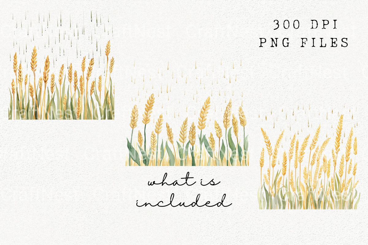 Wheat Field With Rain Clipart Bundle