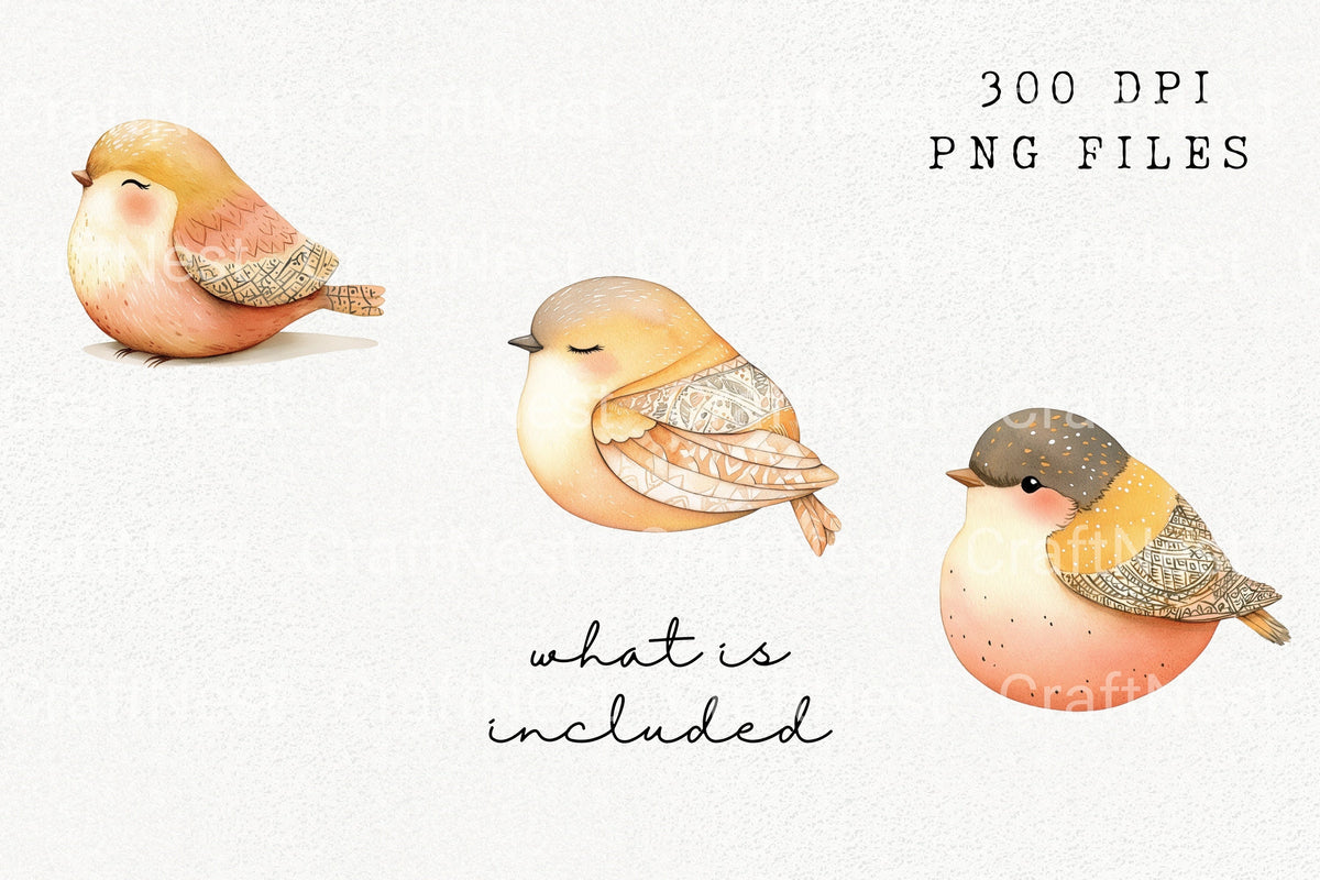 Boho Chic Bird Graphics Clipart Bundle