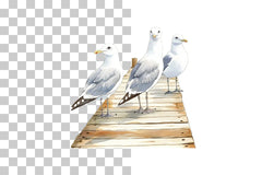 Seagulls on Coastal Pier Clipart Bundle - CraftNest - Digital Crafting and Art