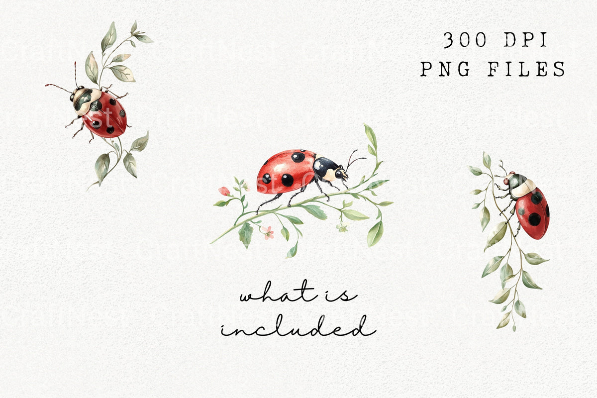 Ladybug On Greenery Creations Clipart Bundle