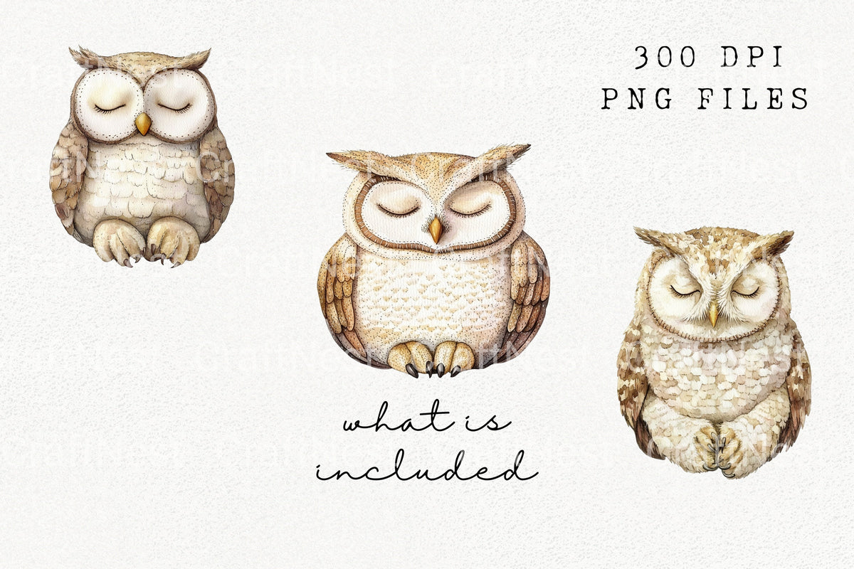 Sleeping Owl Clipart Bundle