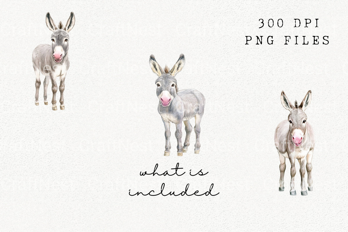 Standing Baby Donkey Clipart Bundle