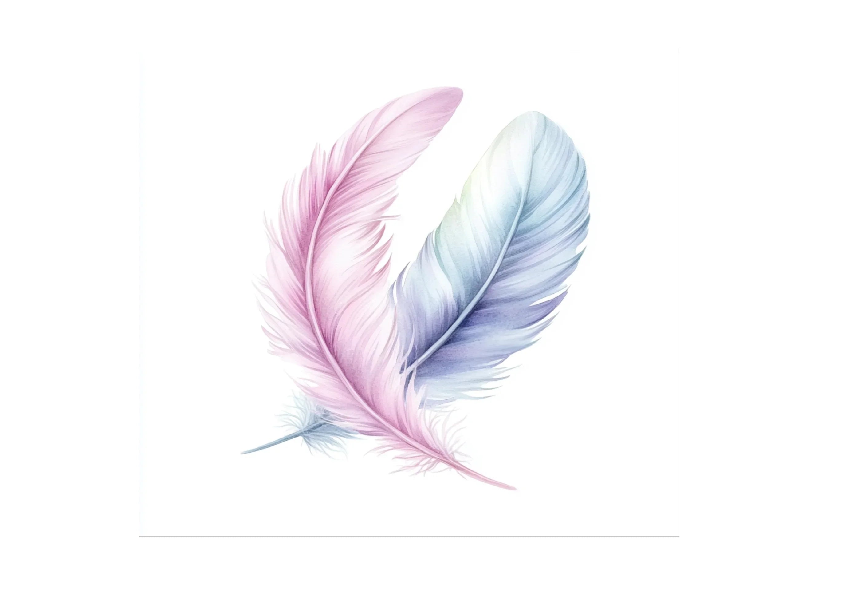 Soft Pastel Feathers Clipart Bundle
