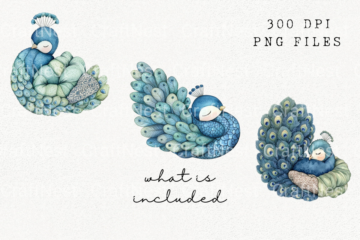 Sleeping Peacock Clipart Bundle