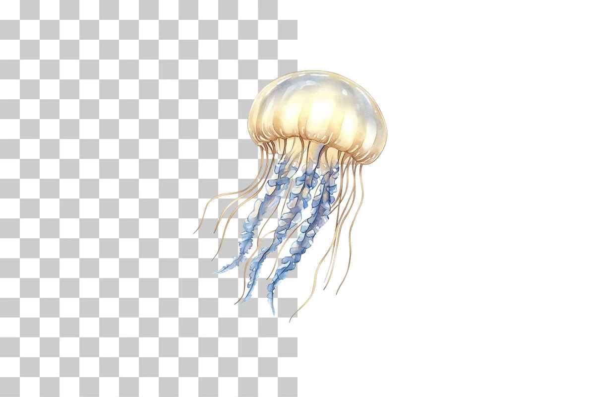 Jellyfish Marine Life Clipart Bundle - CraftNest - Digital Crafting and Art