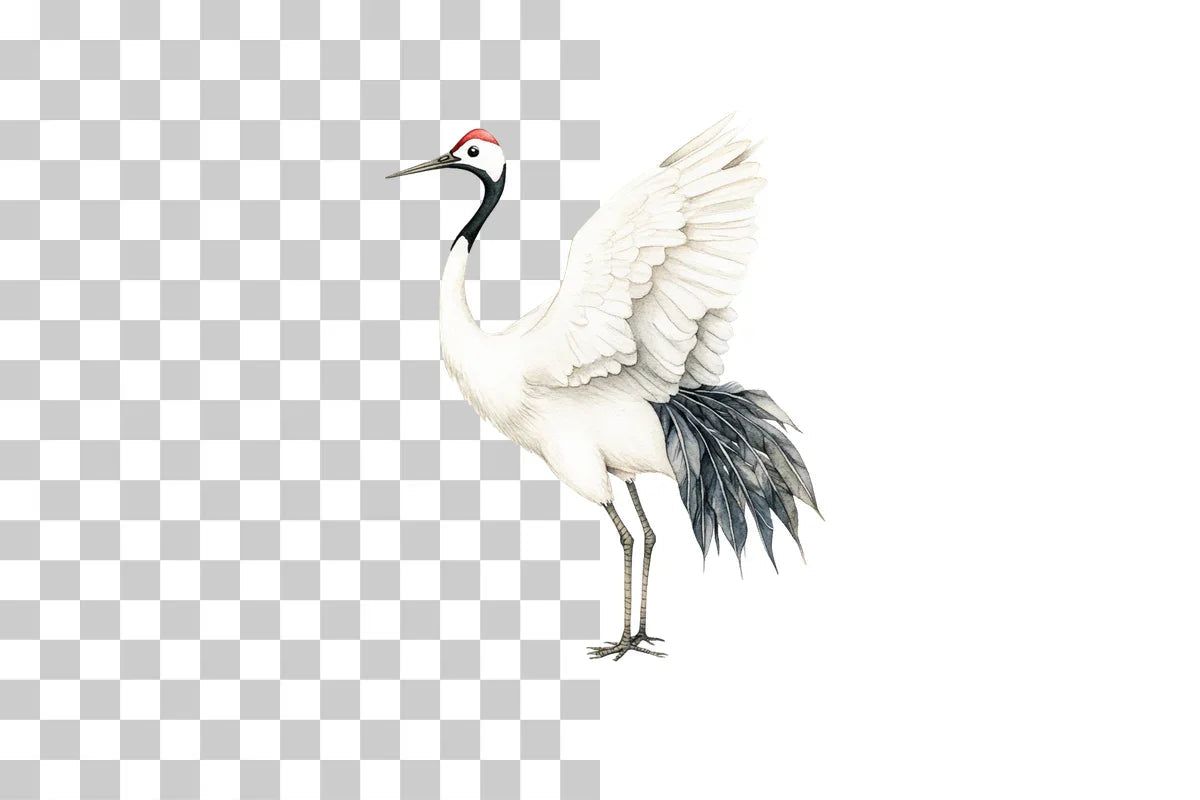 Sumi Ink Japanese Crane Clipart Bundle - CraftNest - Digital Crafting and Art