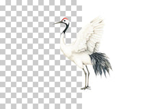 Sumi Ink Japanese Crane Clipart Bundle - CraftNest - Digital Crafting and Art