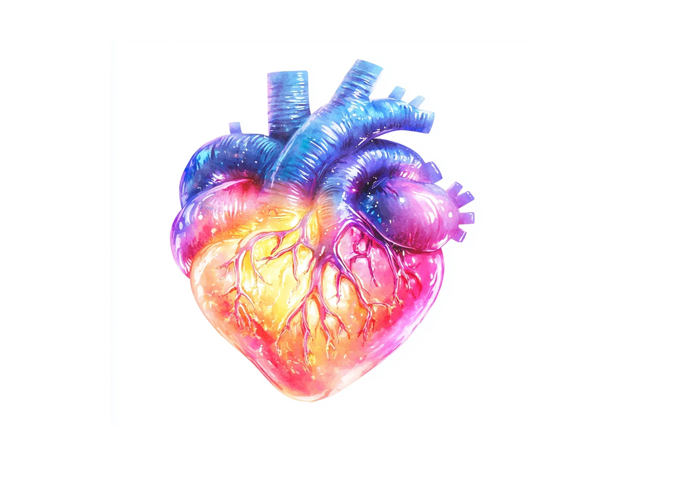 Vibrant Human Heart Clipart Bundle