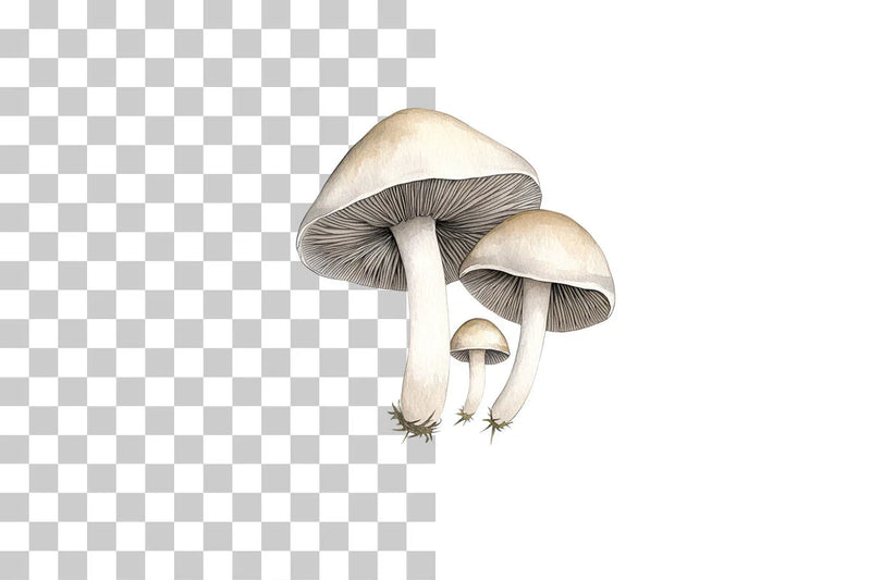 Mushroom Line Art Illustration Clipart Bundle - CraftNest - Digital Crafting and Art