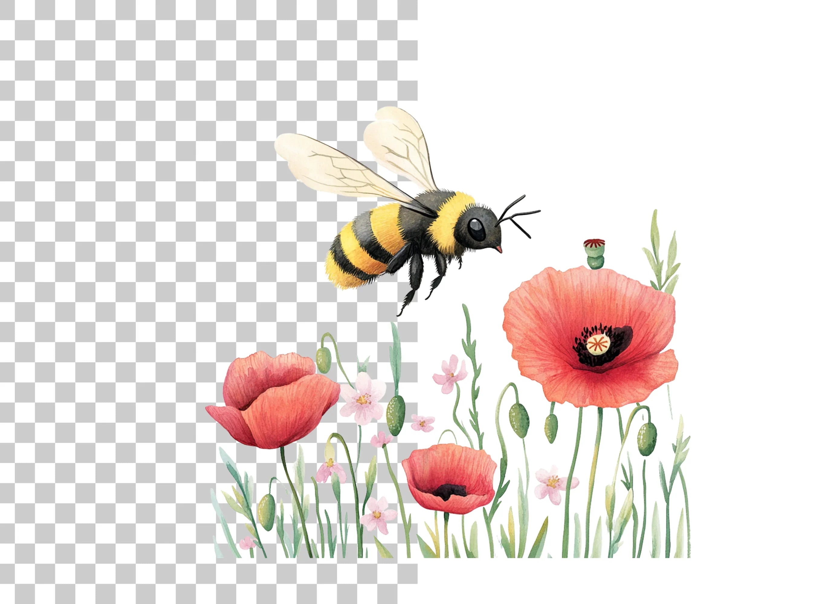 Bumblebee and Poppy Field Clipart Bundle