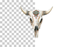 Cow Skull Southwestern Style Clipart Bundle - CraftNest - Digital Crafting and Art