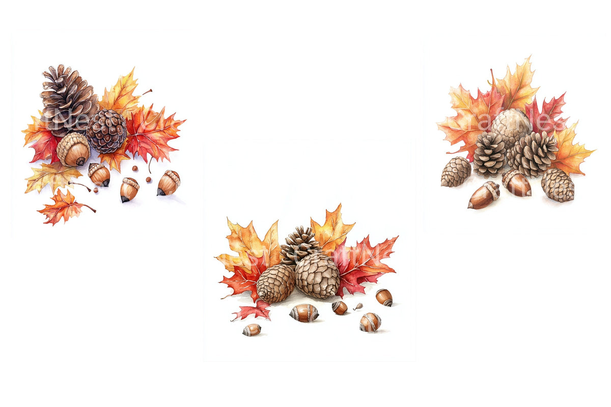 Autumn Leaves And Pinecones Acorns Clipart Bundle