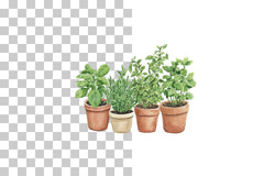 Potted Herb Garden Clipart Bundle - CraftNest - Digital Crafting and Art