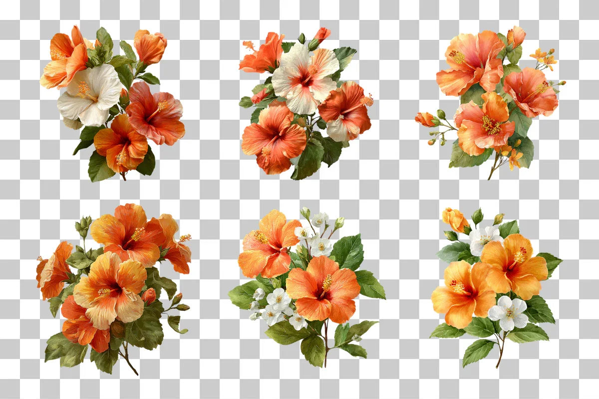 Orange Hibiscus Clipart Bundle - CraftNest - Digital Crafting and Art