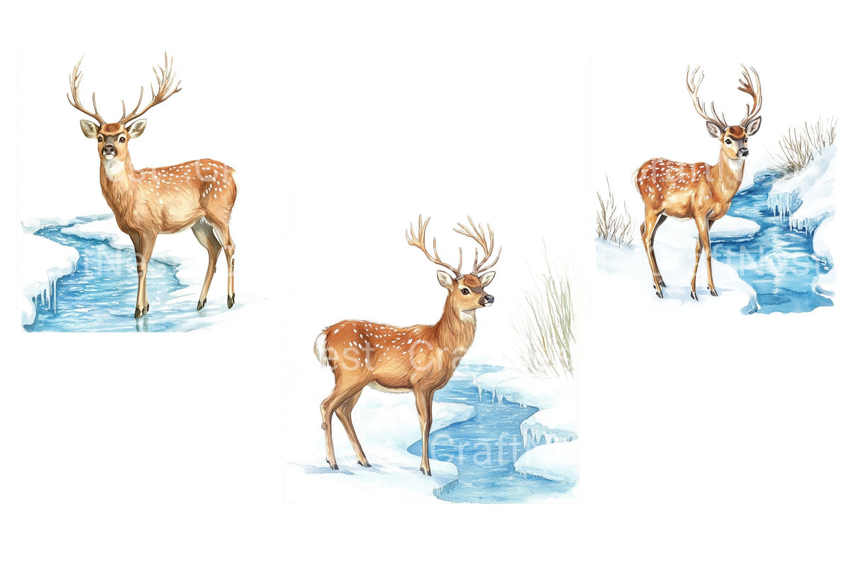 Winter Deer In Snow Clipart Bundle