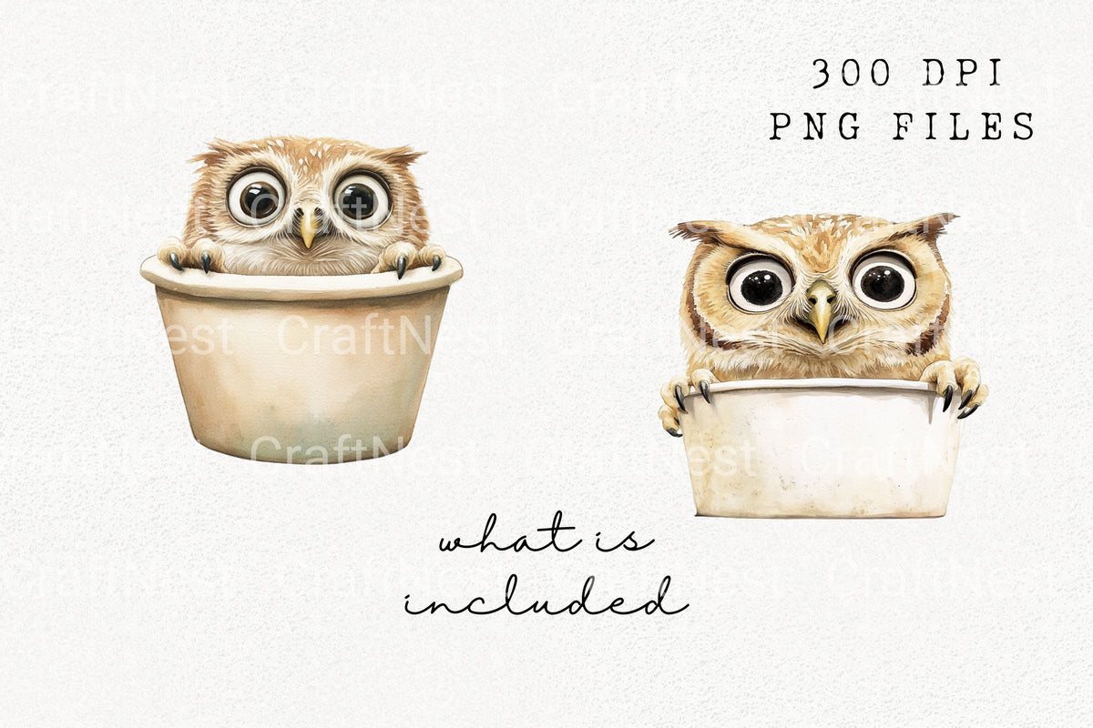 Cute Baby Owl In Cup Clipart Bundle