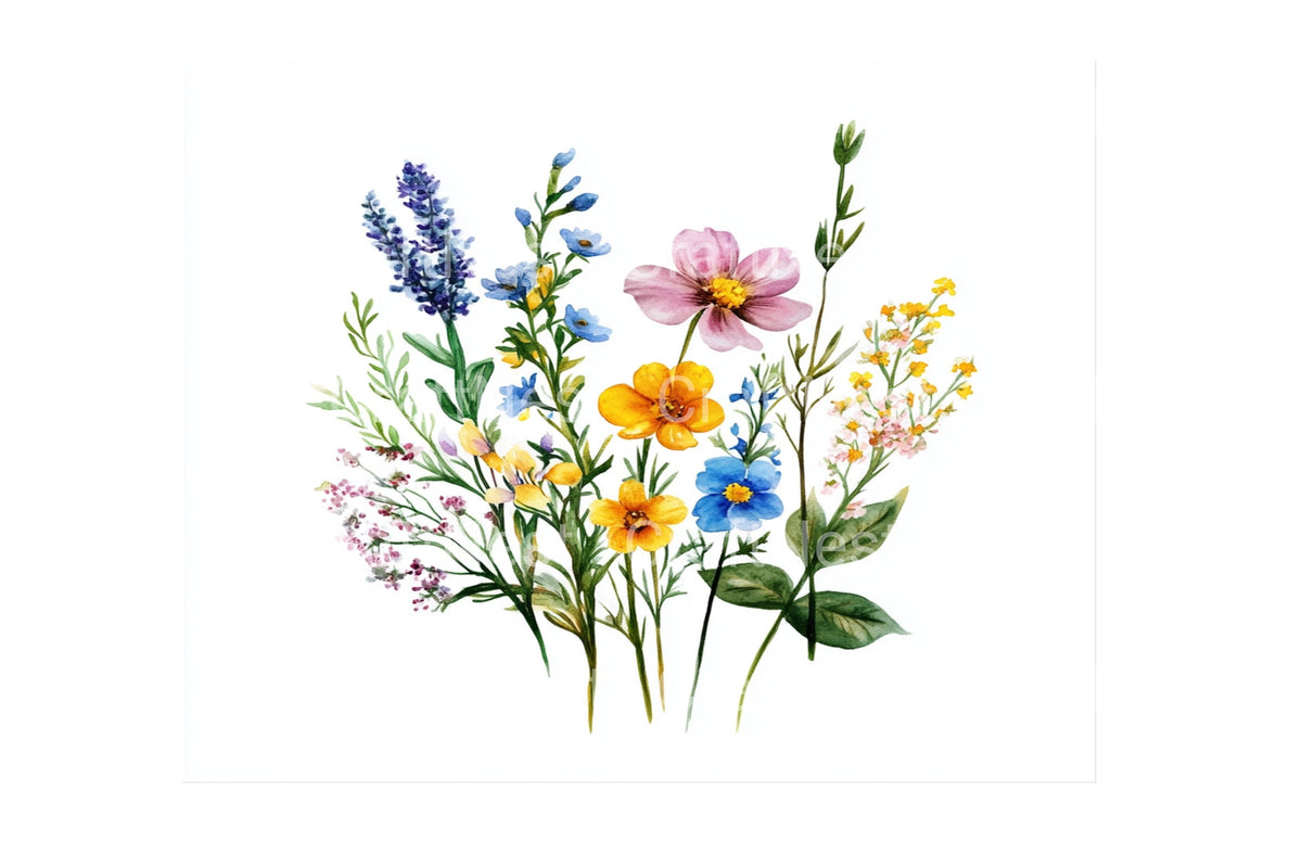 Wildflower Meadow Clipart Bundle