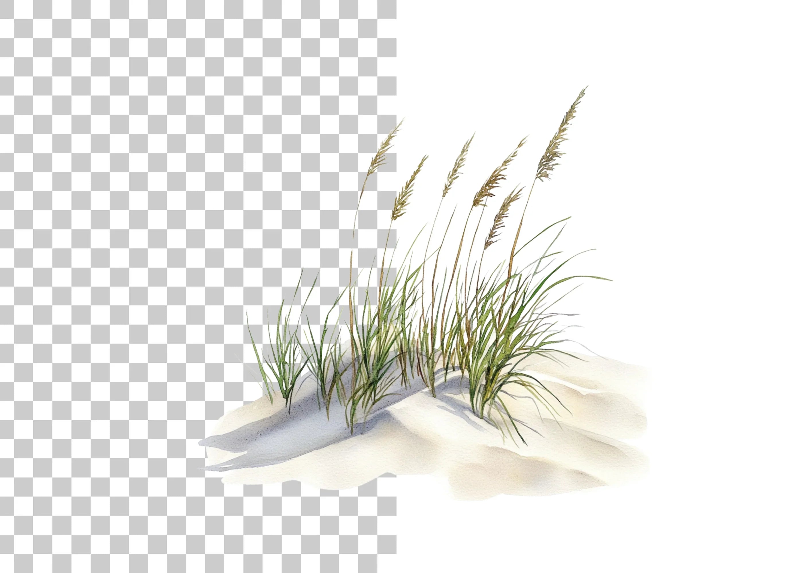Beach Dune Grass Sand Clipart Bundle
