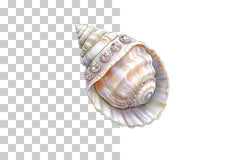 Jeweled Seashell Clipart Bundle - CraftNest - Digital Crafting and Art